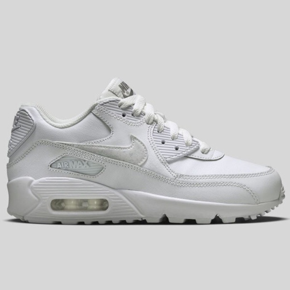 Nike Cool Grey Air Max 90 LTR Big Kids Shoes